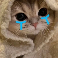 all