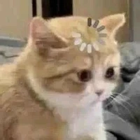 all và trừ những ai nên trừ