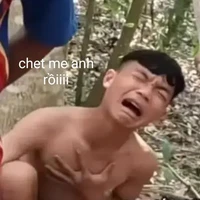 người bí ẩn trong Conan:)