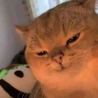 các anh công