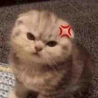 ☁︎︎𝖭ọc☁︎︎