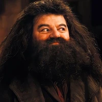 Rubeus Hagrid
