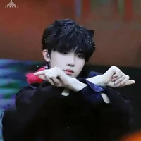 Tô Tân Hạo(cậu)