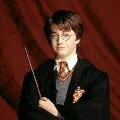 Harry Potter ( harry )