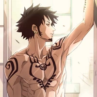 Trafalgar Law