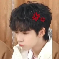 Hạ Tuấn Lâm