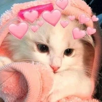 hệ thống cute ( mèo béo )