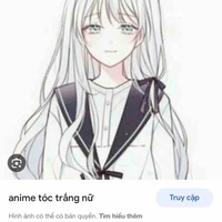 Tác giả 