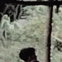 Đạt ck pé tường