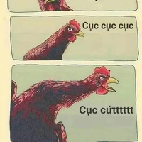 ALL
