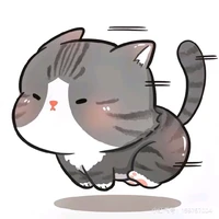 Meo