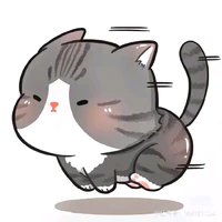 Meo