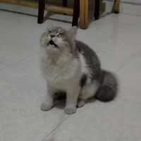 Bộ be bất ổn