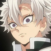 Shinazugawa Sanemi (gv toán)