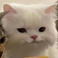 Mon