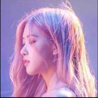 Park Chaeyoung (nàng)