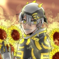 reverse solar
