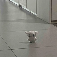 Y/n
