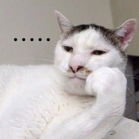 Y/n