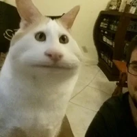 all