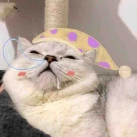 Bạn Tác Giả