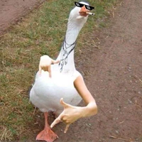 zịt thỉu năng=))