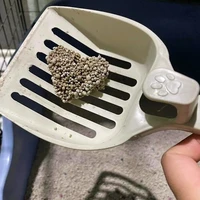 tg