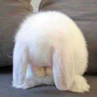 Tác giả nè :3