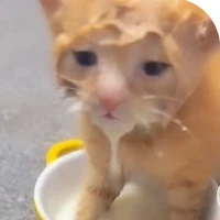 AU