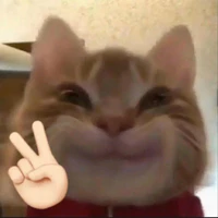 Tác Giả Vô Tri