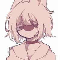 Nekomi Japan