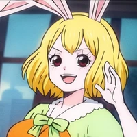 carrot