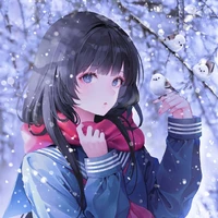 Sakai Y/N