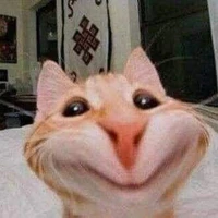 yn