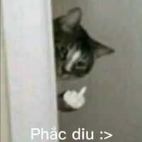 nhân vật chưa có ảnh