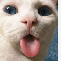 tác giả hay đi cướp vk người ta