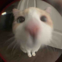 Cô giáo