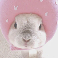 tg cuteeeee