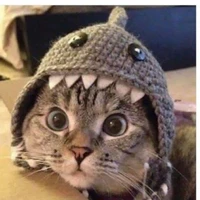 『A MALE STUDENT』