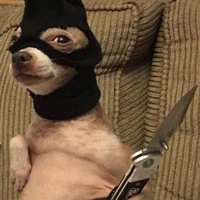 『tất cả hs=)』