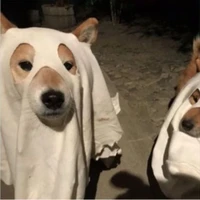 Tác giả cute phô mai que:>
