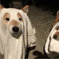 Tác giả cute phô mai que:>