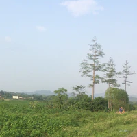 Những người có mặt tại đó