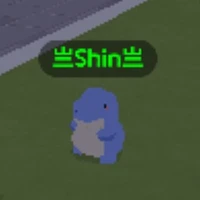 Shin