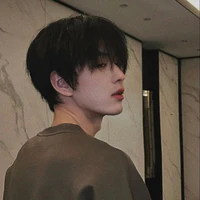 Diệp Trữ Vi