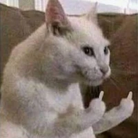 Tokony Todo