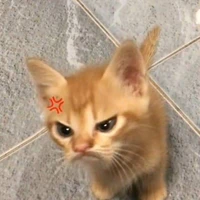 t/g
