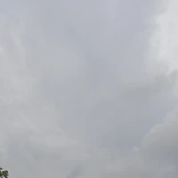 Trương Hoàng Mẫn