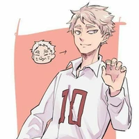 nekomata yasufumi
