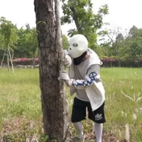 Alpha